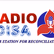 Radio Disa logo