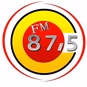 Radio Coluna FM 87.5 logo
