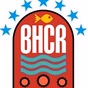 Brighton and Hove Community Radio logo
