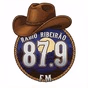 Rádio Ribeirão FM logo