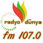Adana Radyo Dünya logo