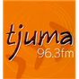 Tjuma Pulka logo