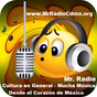 Mr.Radio-Mx logo