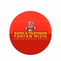 Radio & Television Fanfan Mizik logo
