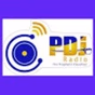 PDJ Radio logo