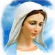 Regina della pace logo