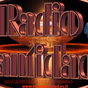 Radio Santidad Louisiana logo