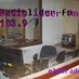 Lider FM Bagé logo