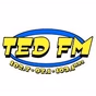 Ted FM - K274BH logo