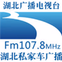 湖北私家车广播 logo