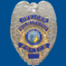 New Hanover County Sheriff logo