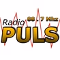 Radio Puls Grocka logo