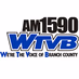 AM 1590 & FM 95.5 WTVB - WTVB logo