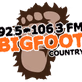 Bigfoot Country - WIBF-FM logo