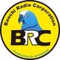 BRC Azare 94.6 Fm logo