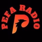 PEFA Radio logo
