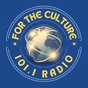 101.1 The Culture logo