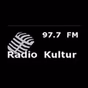 Radio Kultur logo