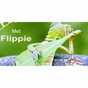 Flippen Nice logo