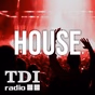 TDI Radio - House Classics logo
