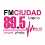 FM Cuidad 89.5 logo