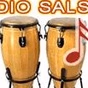 Radio Salson logo