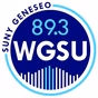 89.3 WGSU  Geneseo's Voice of the Valley logo