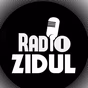 Radio Zidul logo