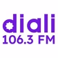 Radio Diali 106.3FM - CKIN-FM logo
