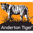Anderton Tiger Radio logo
