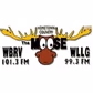 The Moose 101.3 fm & 99.3 fm - WBRV-FM logo