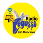 Radio Pegasso Monclova logo