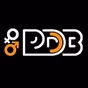 Радио РДВ FM 105.2 FM logo