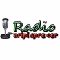 Radio Aripi Spre Cer - Worship logo