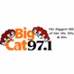 Big Cat 97.1 - WLDX logo