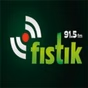 Fistik FM logo