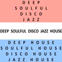 Deep Soulful Disco Jazz House Radio logo