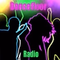 Vip-Radios.fm - Dancefloor Radio logo