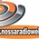Nossa Radio Web logo