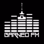 Barneo FM logo