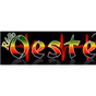 Radio Oeste FM logo