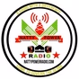 Natty Power Radio logo