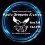 Radio Gregorio Alvarez logo
