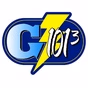 G101.3 - WFMG logo