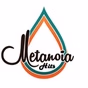 Rádio Meta Hits logo