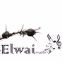 Elwai Visitor Centre Radio logo