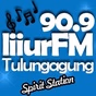 Liiur FM 90.9 logo