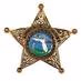 Hernando County Public Safety logo