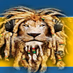 Lions - Radio logo