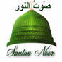 Sautun Noor logo